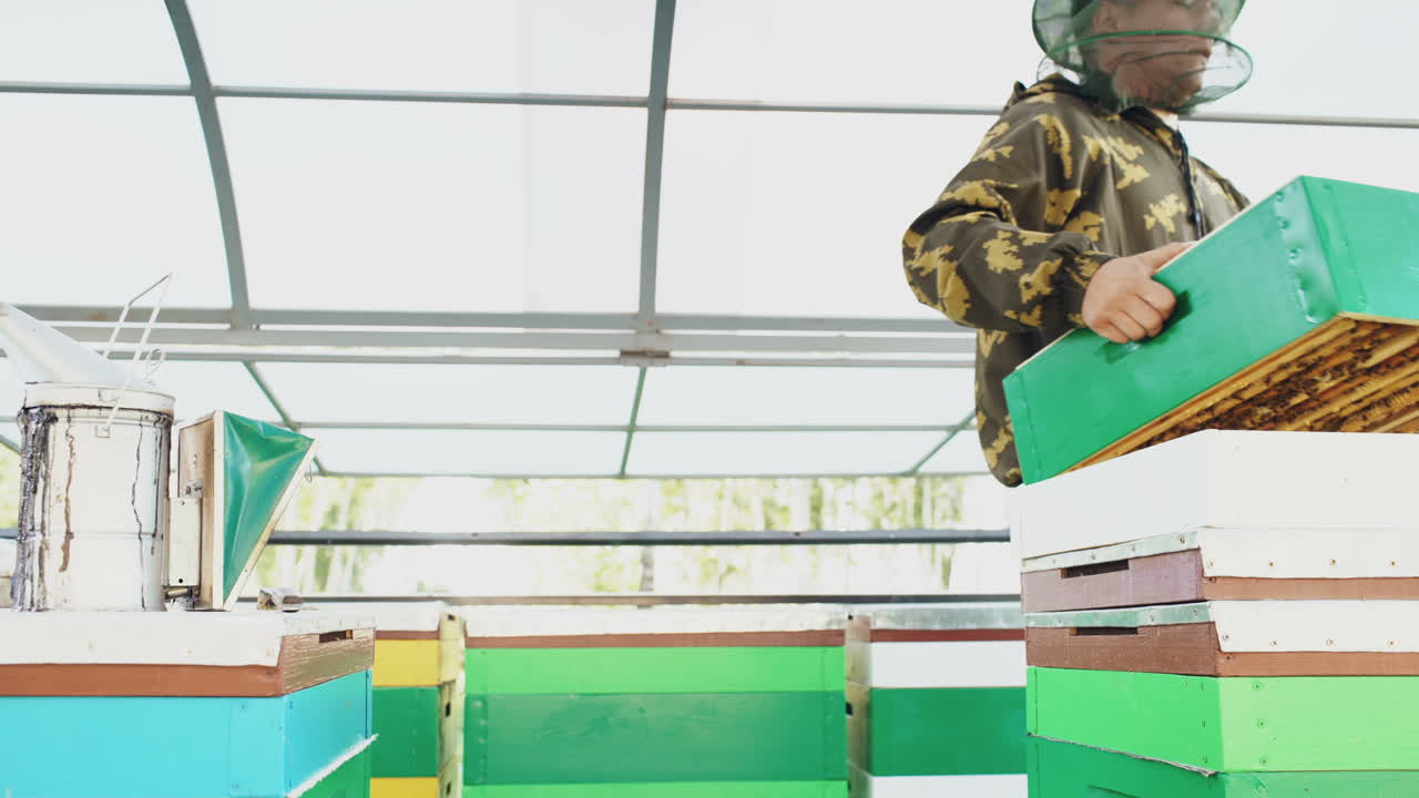 apicultor que trabaja con colmenas