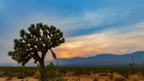 el sol de la tarde se pone detrás de la cordillera con un árbol de joshua y el paisaje del desierto de mojave en primer plano - lapso de tiempo estático con humo y neblina del fuego del lago