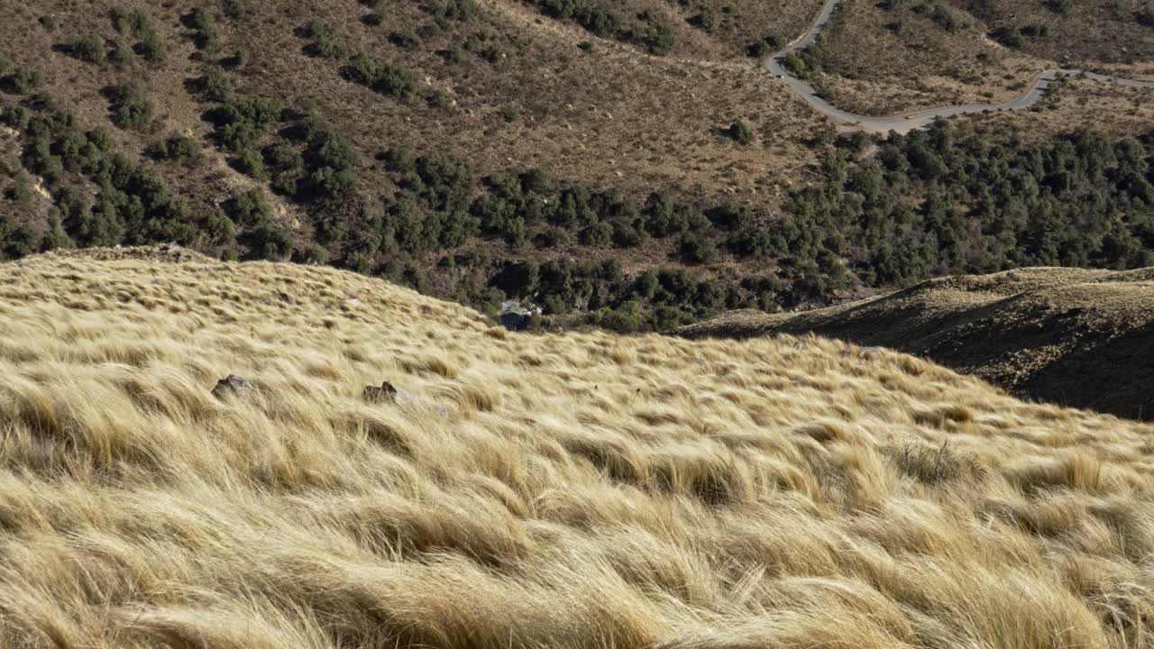 pastos en la ladera de la montaña con camino debajo