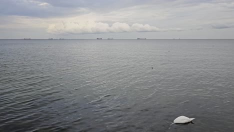 nubes pesadas sobre el golfo de gdansk