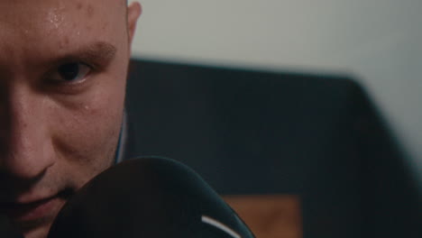 closeup of boxer in training