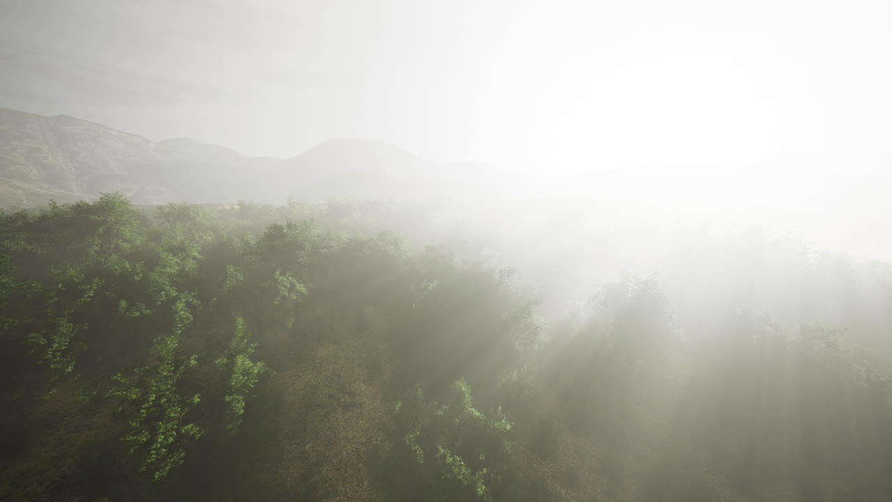Misty landscape reveals hidden beauty of nature in the early morning light