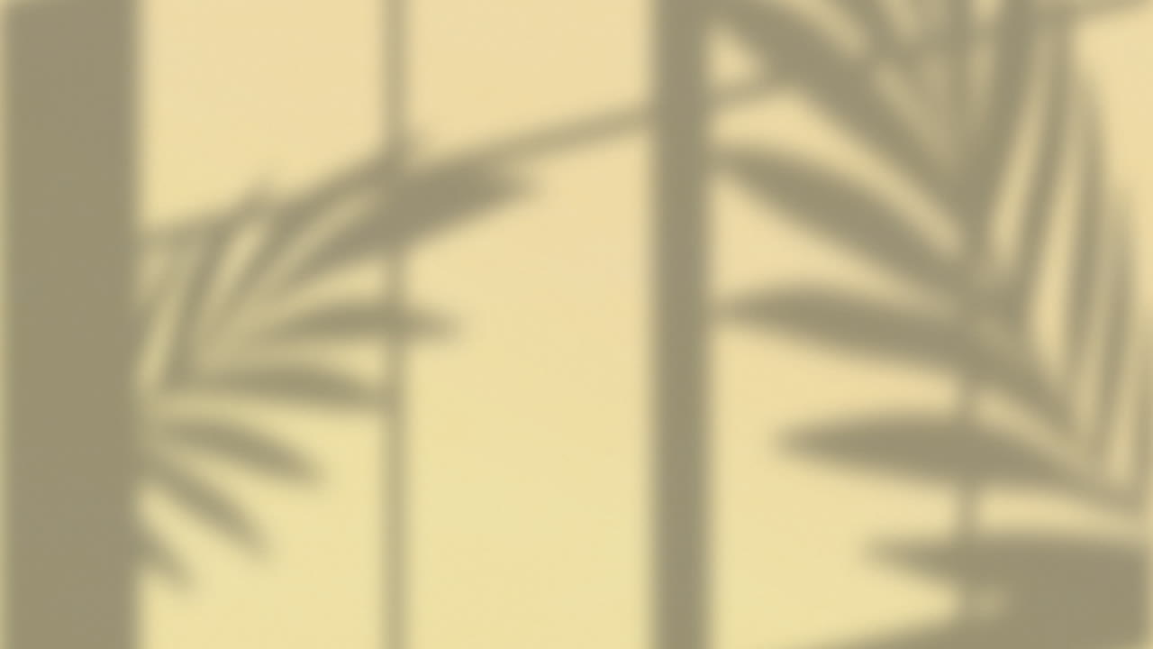 animación del marco de la ventana y las sombras de las hojas de las plantas que se mueven sobre el fondo de la pared de crema