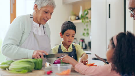 Mature,-woman-and-child-for-teaching-to-cook