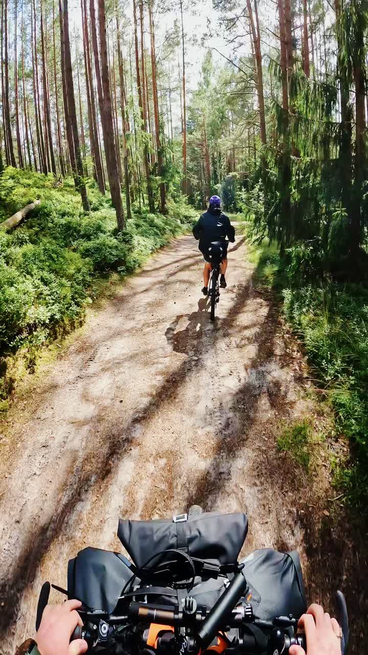 Casal de cicloturistas pedalando em trilha na floresta sob raios de sol entre pinheiros
