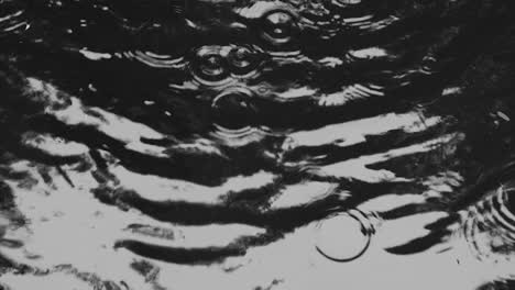 el círculo de ondas de agua con los reflejos de la naturaleza con resolución de 4k.