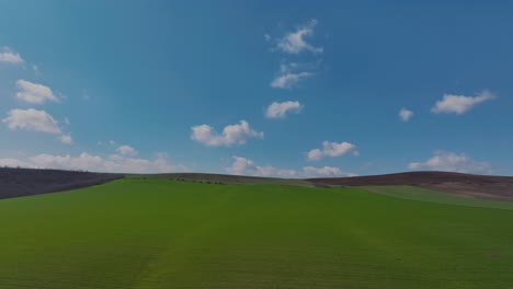 aerial low shot vibrant green agricultural fields blue sky at the horizon, in the countryside on a spring sunny day