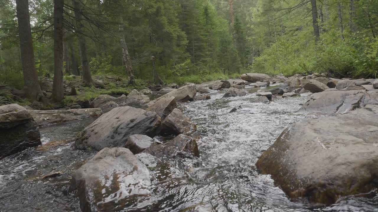 Skovbæk