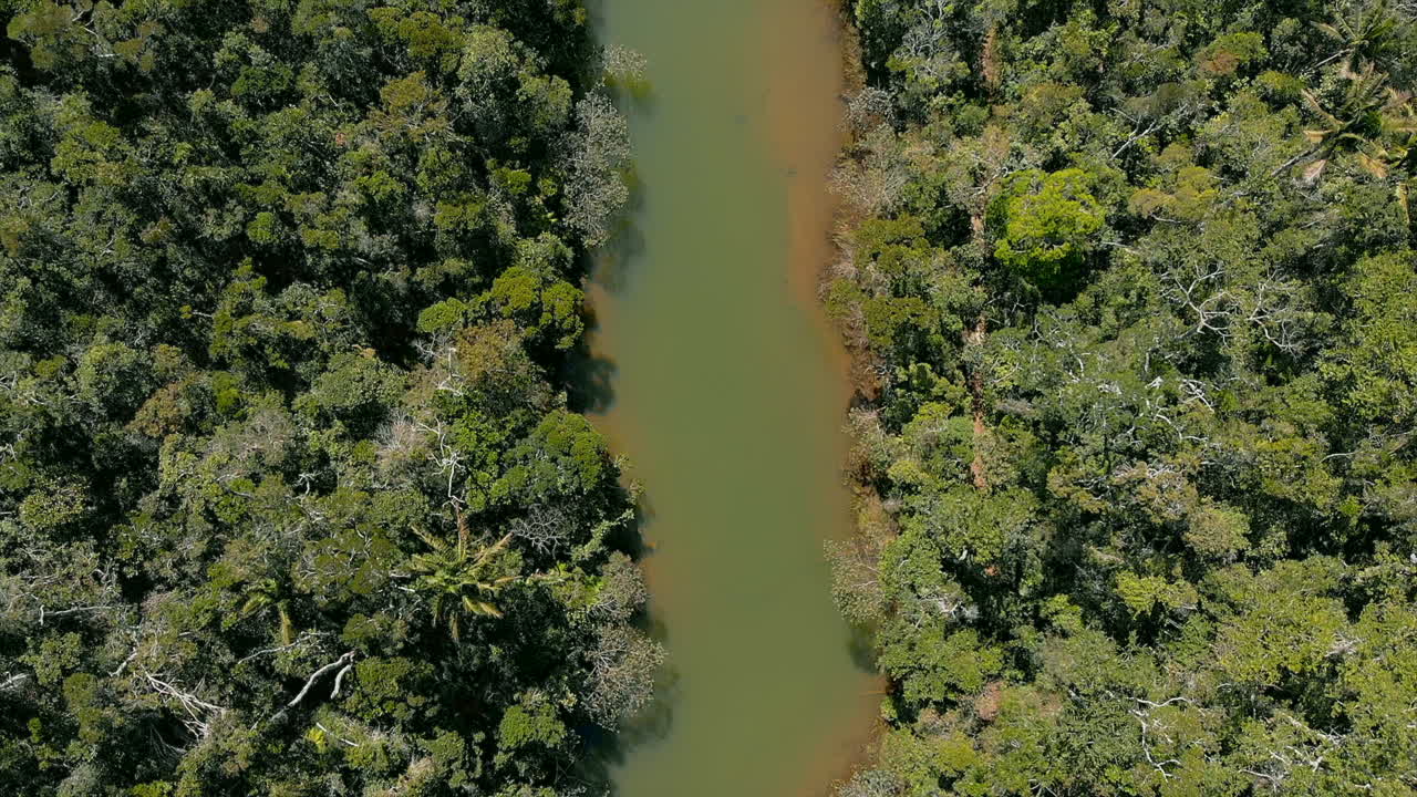 antena: río en medio de la selva tropical en madagascar