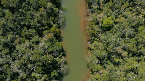 AERIAL:-River-in-the-middle-of-Rainforest-in-Madagascar