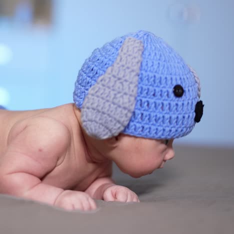 little infant lying on his belly on the bed. toddler just beginning to hold his head up. small kid in a funny knitted hat with ears and diaper with tail