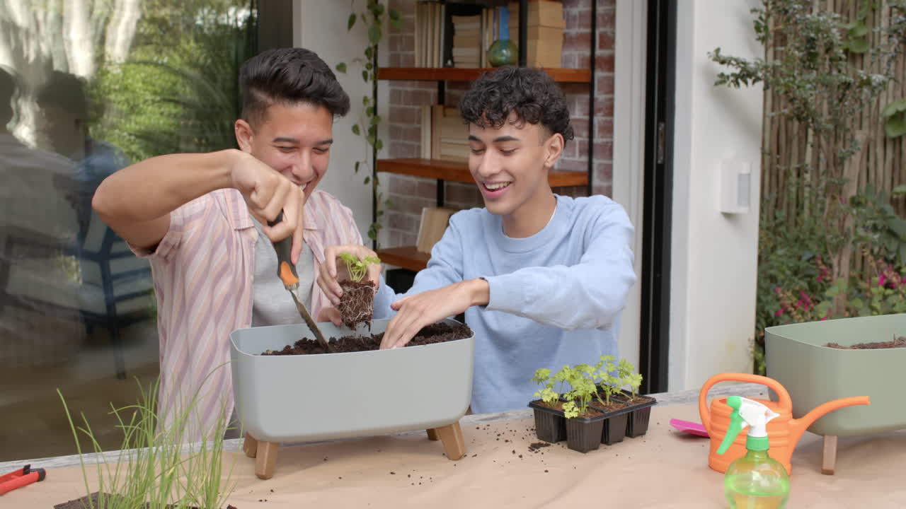 Menanam bibit bersama, pasangan gay multiras tersenyum menikmati berkebun di rumah
