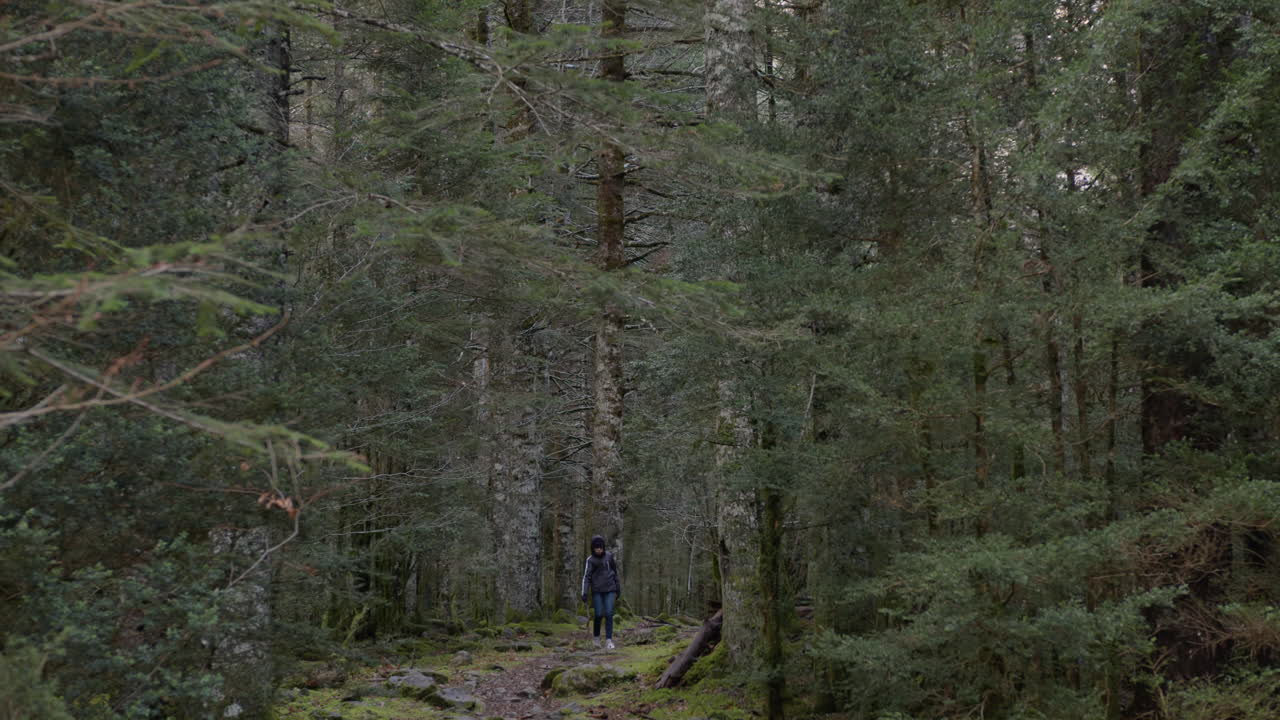 женщина, гуляющая в пышном лесу.