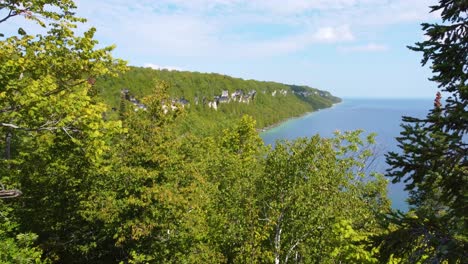 flying close up to tree tops near endless lake in canada