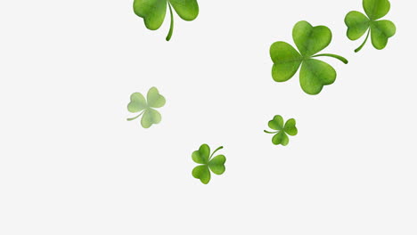 animation of multiple clover leaves falling on white background