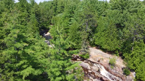 swooping drone flies behind tall pine trees to reveal duchesnay falls, ontario canada