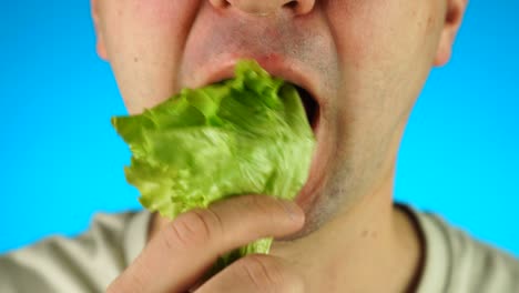 man biting and eating lettuce salad. close up of lower half male face, eating vegetable