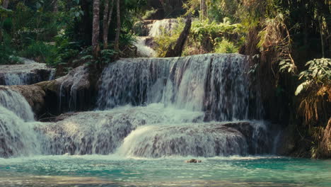 beautiful tropical waterfall in a lush jungle
