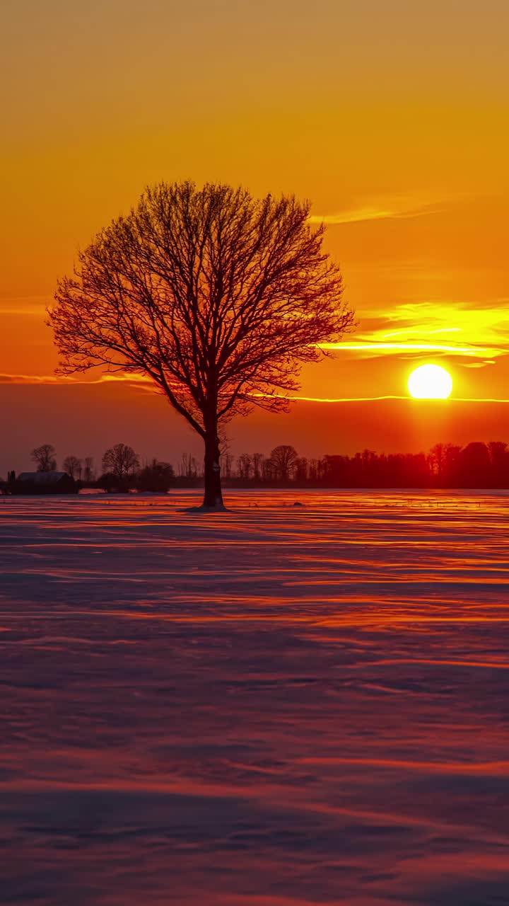 Timelapse of golden yellow sun setting over calm horizon with sea of clouds shifting as wind blows across frozen snowy landscape with tree silhouette, vertical