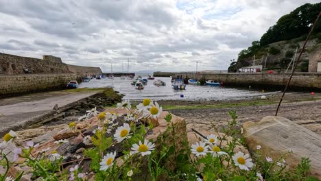 cloudy day at a peaceful coastal harbour