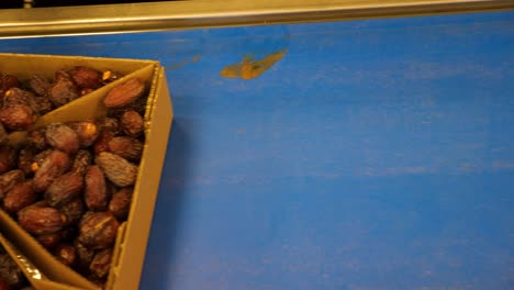 Organic-Fresh-Medjool-Dates-packages-on-factory-conveyor-belt