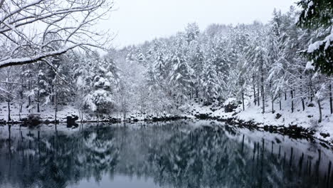 a serene snowy forest reflecting on a calm lake during winter, evoking tranquility