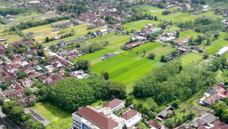 Campos-Vibrantes-Y-Muchas-Casas-Pequeñas-En-Indonesia,-Vista-Aérea-De-Drones