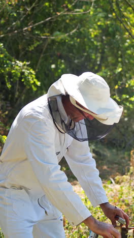 beekeeper holding a honeycomb. beekeeper inspecting honeycomb frame at apiary. vertical video