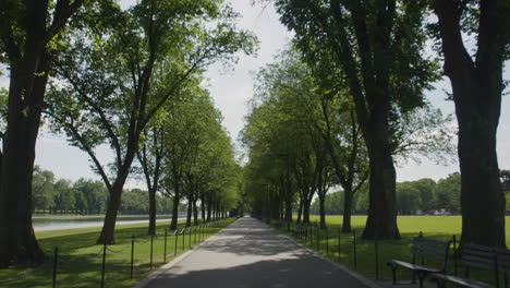 Inclínate-Hacia-Abajo-Desde-El-Sol-Que-Entra-A-Través-De-Los-árboles-En-Un-Sendero-Vacío-En-El-Centro-Comercial-Nacional-En-Washington-DC-Sin-Gente,-Vacío