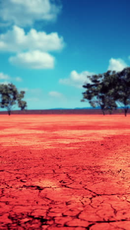 red desert landscape with trees