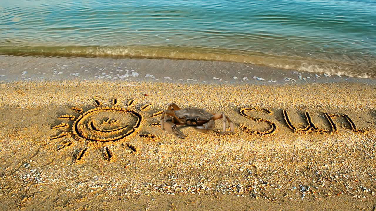 Crab and an inscription on sand, the beach. The drawing of the sun on sand