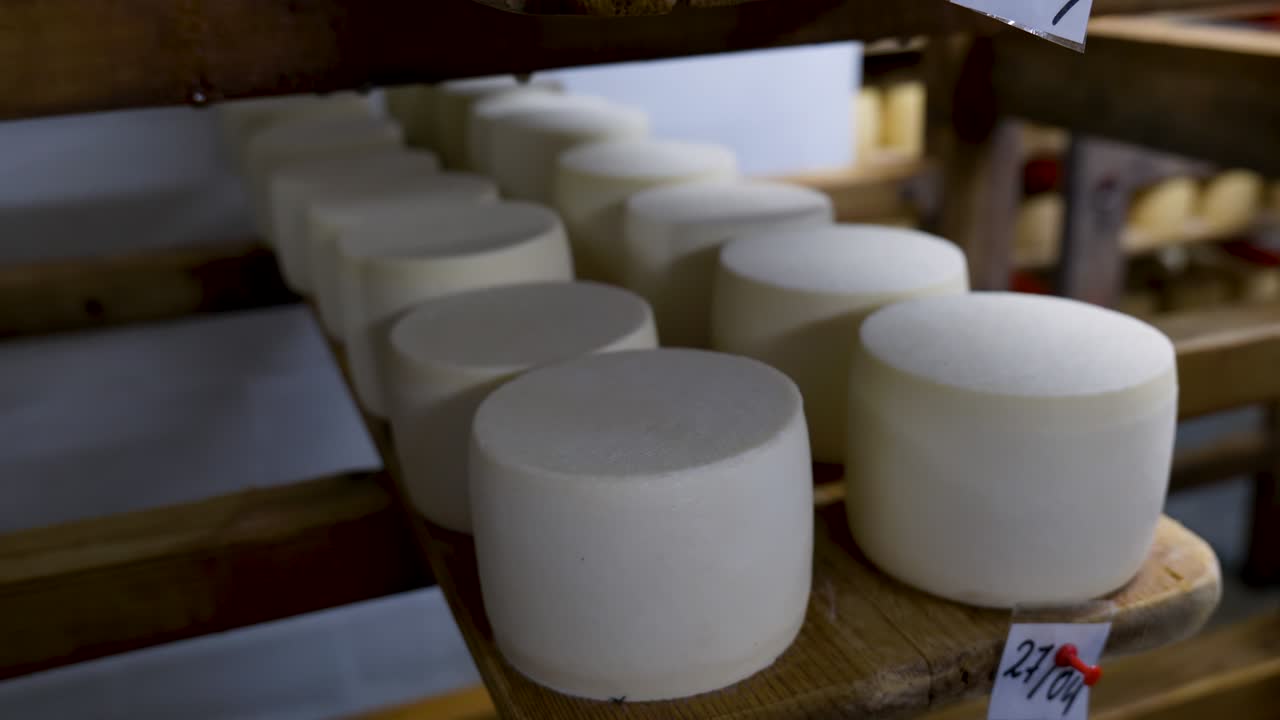 Wheels of young cheese ripening on shelves in a cheese dairy cellar