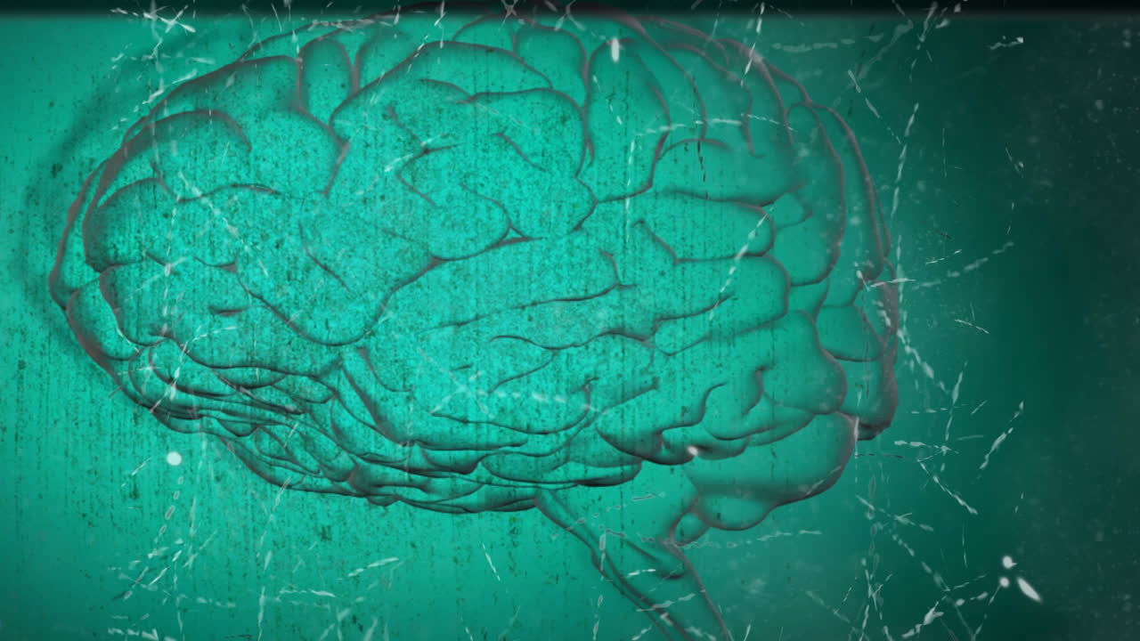 animación del cerebro con tecnología y procesamiento de datos