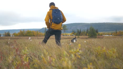 cute little dog accompanying owner on trail walk through grassland - wide slide tracking slow-motion shot