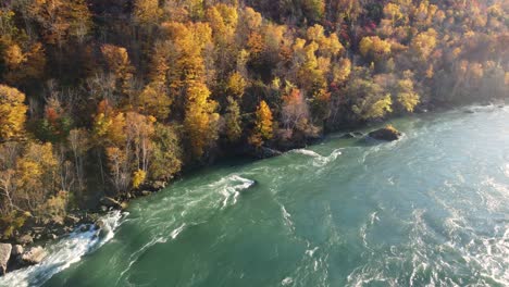 niagara whirlpool along the river near niagara glen nature reserve in ontario, canada