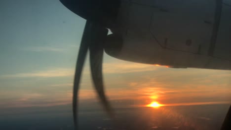 volando en la puesta de sol