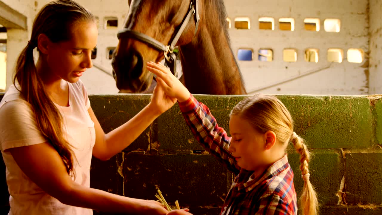 мать и дочь кормят лошадь 4к