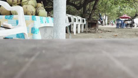 beachside coconut stand