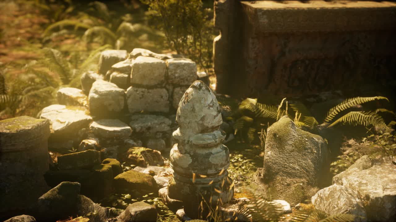 소나무 숲 에 있는 고대 도시 의  ⁇ 은 폐허