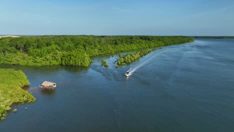 long green river island stretches between parnaiba river channels in bright daylight aerial, pullback tracking speedboat