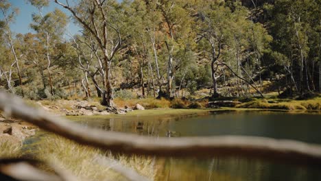 slider shot of ellery creek big hole in west macdonnell range northern territory australia