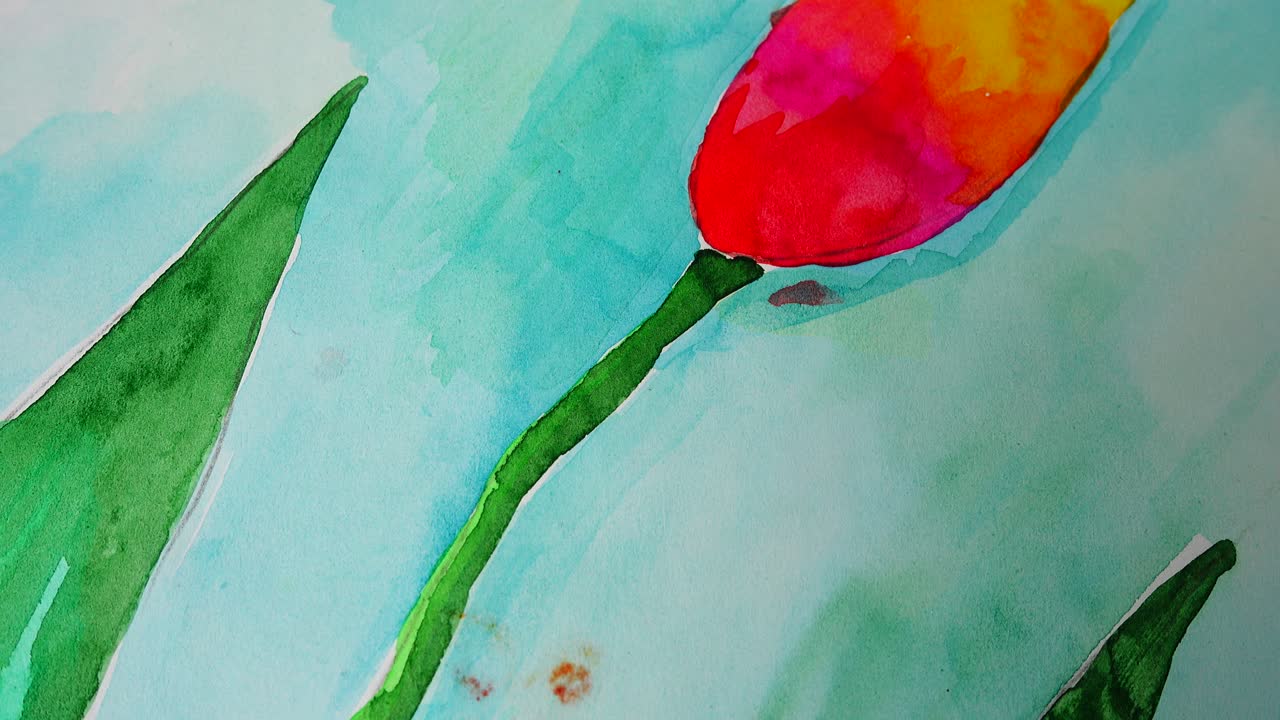 Ripresa del disegno di tulipano.