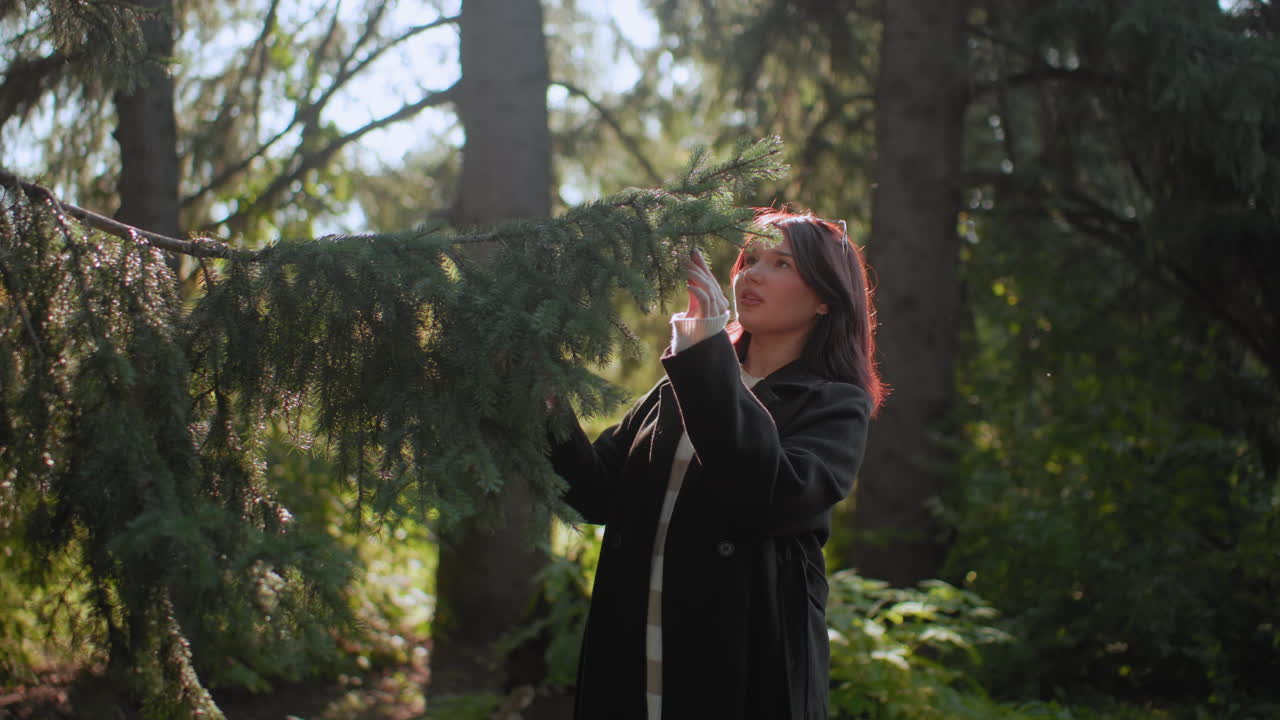 Turista con abrigo largo sujetando delicadamente una rama de pino, admirando las agujas bajo la cálida luz del sol otoñal, rayos de sol atravesando el bosque, suave bokeh verdoso, momento de tranquilidad en la naturaleza durante un paseo apacible