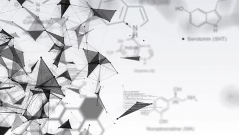 Molecular-structures,-plexus-networks-and-data-processing