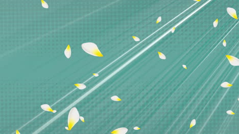 animation of white and yellow petals falling over stripes moving in seamless loop