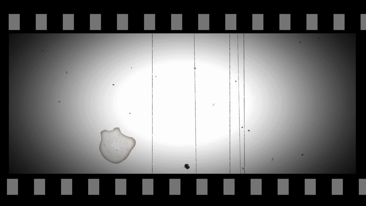 Vecchia pellicola cinematografica in bianco e nero con graffi e polvere