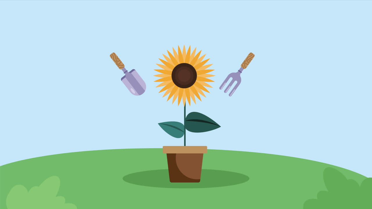 girassol em planta de casa e ferramentas de animação