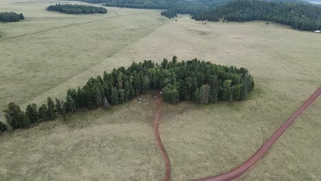 Erstaunlicher-Abgelegener-Campingplatz,-Versteckt-In-Einem-Wald-Am-Hang-In-Abgelegener-Wildnis,-Aus-Der-Luft