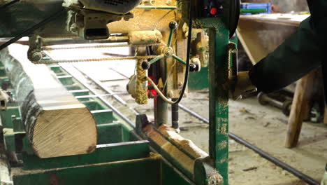 worker operating with wood processing equipment in sawmill, sawing aspen tree log on bandsaw