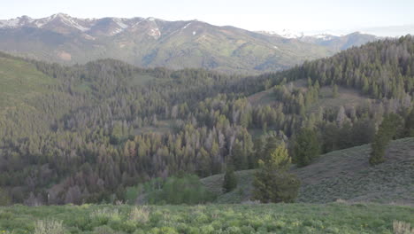 The-foothills-of-the-Sierra-Nevada-mountains